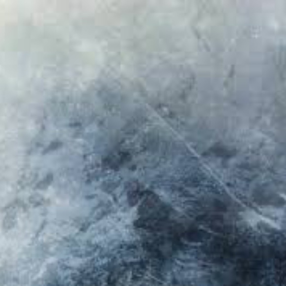 Meet your Posher, Holly - Picture 1 of 1